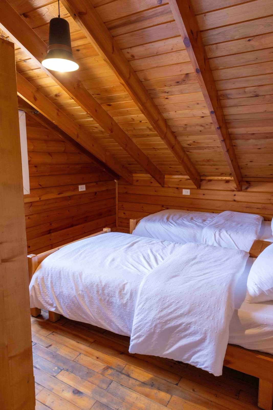 Wooden Villas (Semi-Detached) at Swizore Resort, photo 2